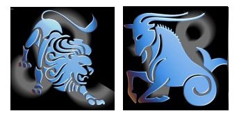 Compatibilidad del signo de Leo con Capricornio
