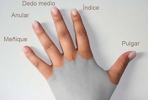 Signos y formas de los dedos en quiromancia