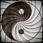 Equilibrio entre el yin y el yang en la vida