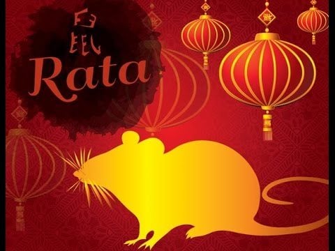La Rata en el horóscopo chino