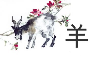 Resultado de imagen de la cabra en el horoscopo chino