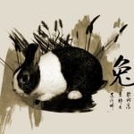 El Conejo en el horóscopo chino