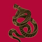 La Serpiente en el horóscopo Chino